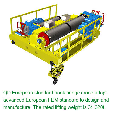 application of European standard crane